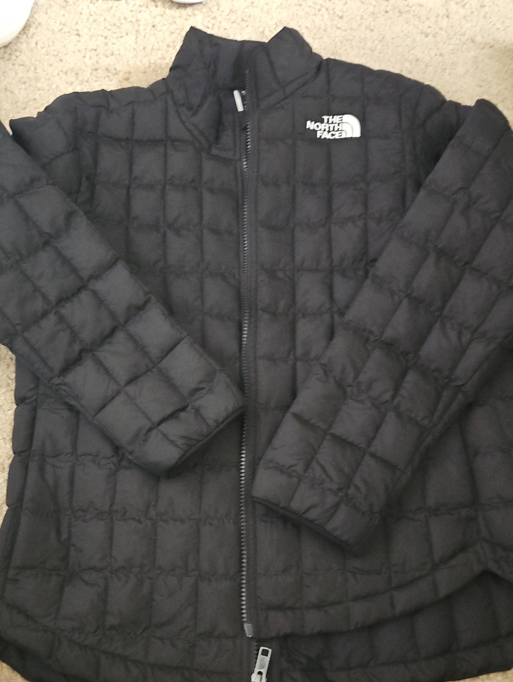 The North Face Black Quilted Insulated Jacket